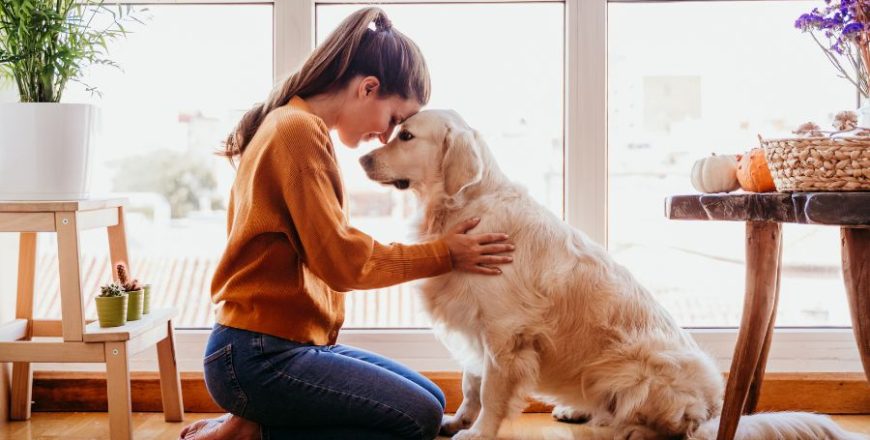 Kurz canisterapie a práce se psy
